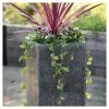 79cm Poly-Terrazzo Large Black Tall Cube Planter 1 79cm Poly-Terrazzo Large Black Tall Cube Planter -Plants outlet store PP0478L main image c7bb