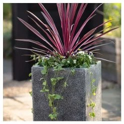 60cm Poly-Terrazzo Small Black Tall Cube Planter -Plants outlet store PP0478S rollover image 2294