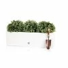 80 X 24cm Gloss Fibreglass Trough Planter In White - By Primrose™ -Plants outlet store PP0646S rollover image d8bd