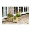 Marford Hexagonal Planter Set Of 3 By Zest -Plants outlet store PP1669 main image 07f6