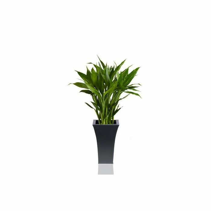H31cm Black Square Flared Planter - By Primrose™ 3 H31cm Black Square Flared Planter - By Primrose™