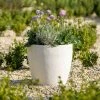 Egg Shape 50cm Handmade Fiberstone Planter In White - Exclusive To Primrose -Plants outlet store PP20WHTL PP20WHTM c115