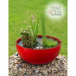 72cm Fibreglass Red High Gloss Low Bowl Planter - By Primrose® -Plants outlet store PP2108RED add image 1 3e6a