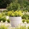 Round 38cm Handmade Fiberstone Rimmed Planter In Grey - Exclusive To Primrose