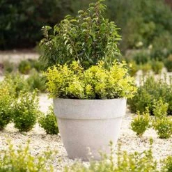 Round 38cm Handmade Fiberstone Rimmed Planter In Grey - Exclusive To Primrose