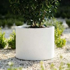 Cylinder 55cm Handmade Fiberstone Planter In White - Exclusive To Primrose -Plants outlet store PP22WHTM PP22WHTL 1 9cab