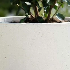 Cylinder 45cm Handmade Fiberstone Planter In White - Exclusive To Primrose 11 Cylinder 45cm Handmade Fiberstone Planter In White - Exclusive To Primrose -Plants outlet store PP22WHTM PP22WHTL 2 693c