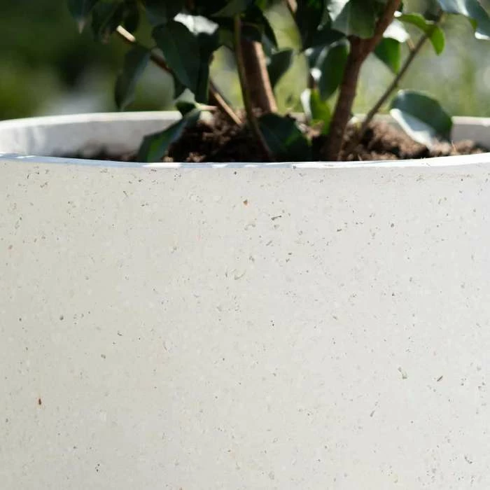 Cylinder 45cm Handmade Fiberstone Planter In White - Exclusive To Primrose 5 Cylinder 45cm Handmade Fiberstone Planter In White - Exclusive To Primrose - Image 3