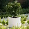 Cylinder 45cm Handmade Fiberstone Planter In White - Exclusive To Primrose -Plants outlet store PP22WHTM PP22WHTL f9a9