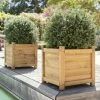 H45cm Wooden Cube Planter By Liz Frances™ -Plants outlet store PP2447S main image 6d48