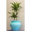 The Fibreglass Malaysian Javan Planter Range - (XL) 54cm Tall -Plants outlet store PP25014 main image eb92