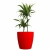 Eggpot Fibreglass Planters - (Small) 40cm Tall -Plants outlet store PP25016 main image b40f
