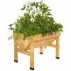 VegTrug Small - 103cm X 76cm (H80cm) -Plants outlet store PP2801 main image 8e35