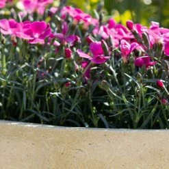 Round 60cm Handmade Fiberstone Planter In Cream - Exclusive To Primrose -Plants outlet store PP28CRM 1 17bf