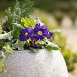 Sphere 32cm Handmade Fiberstone Planter In Grey - Exclusive To Primrose -Plants outlet store PP29GRY 1 6858