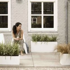 73cm Cadix Poly Resin Low Rectangular Planter In White 5 73cm Cadix Poly Resin Low Rectangular Planter In White -Plants outlet store PP3106 rollover image 8a20