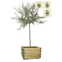 50cm Medium Wooden Pine Raised Cube Planter -Plants outlet store PP3422 main image.png bb9a
