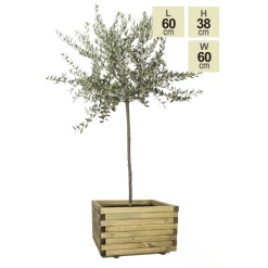 60cm Large Wooden Pine Raised Cube Planter -Plants outlet store PP3423 main image 36f8