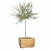 60cm Large Wooden Pine Raised Cube Planter -Plants outlet store PP3423 rollover image 5221