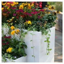 H91cm Large Tall Trough Planter With Insert -Plants outlet store PP3900B1 rollover image 0ba2