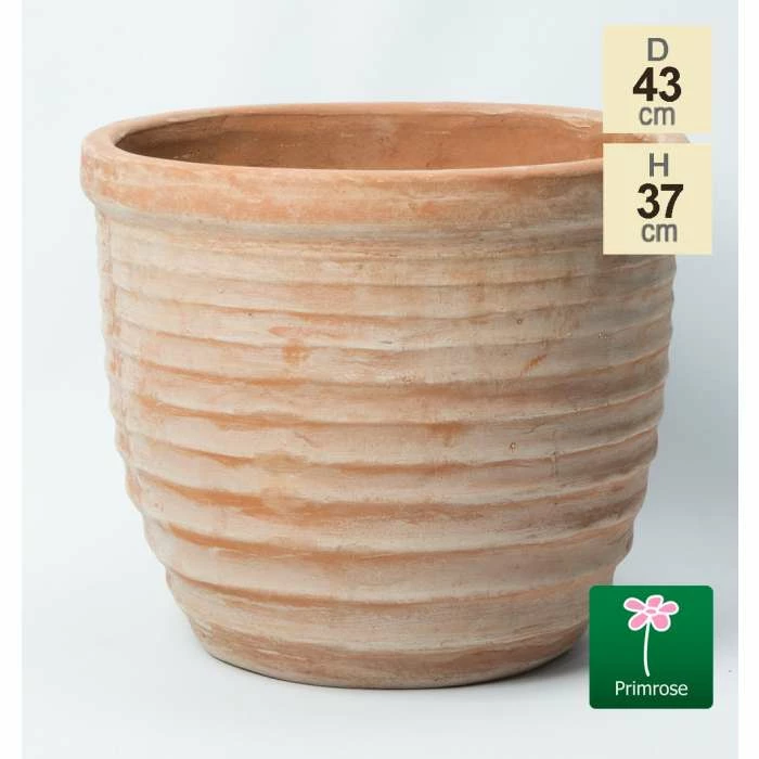 D43cm Terracotta Egg Planter 3 D43cm Terracotta Egg Planter