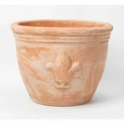 D30cm Terracotta Pot With Fleur De Lis -Plants outlet store PP3964 rollover image 88dd
