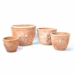 D38.5cm Terracotta Planter With Fleur De Lis -Plants outlet store PP3965 add image 4 c168