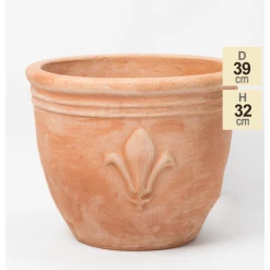 D38.5cm Terracotta Planter With Fleur De Lis -Plants outlet store PP3965 main image 2b2a