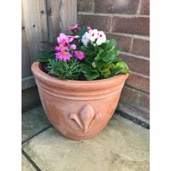 D47cm Terracotta Planter With Fleur De Lis -Plants outlet store PP3966 add image 5 8a25