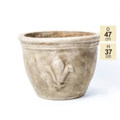 D47cm Stone Terracotta Planter With Fleur De Lis -Plants outlet store PP3971 main image 20ed