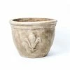 D47cm Stone Terracotta Planter With Fleur De Lis -Plants outlet store PP3971 rollover image c573