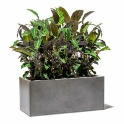 100cm Trough Zinc Silver & Black Textured Dipped Galvanised Planter -Plants outlet store PP40757 add image 4 7a87