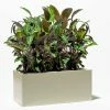 75cm Trough Zinc Ivory Textured Dipped Galvanised Planter -Plants outlet store PP40758 main image 813a
