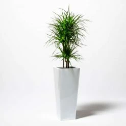 90cm Flared Square Zinc White Gloss Dipped Galvanised Plante -Plants outlet store PP40771 add image 4 9732