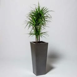 90cm Flared Square Zinc Silver & Black Textured Dipped Galvanised Planter 10 90cm Flared Square Zinc Silver & Black Textured Dipped Galvanised Planter -Plants outlet store PP40772 add image 4 e083