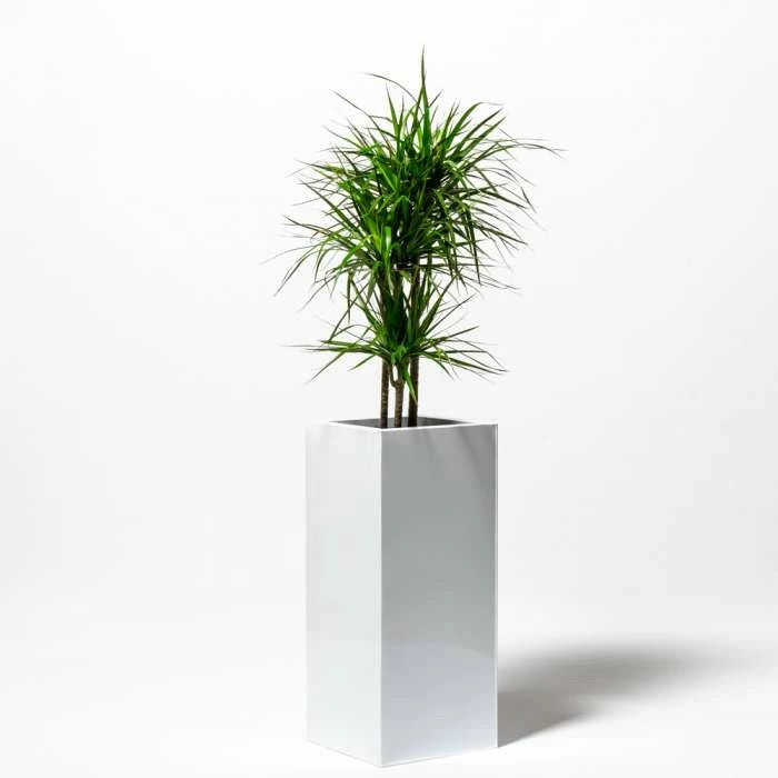 100cm Tall Cube Zinc White Gloss Dipped Galvanised Planter 4 100cm Tall Cube Zinc White Gloss Dipped Galvanised Planter - Image 2