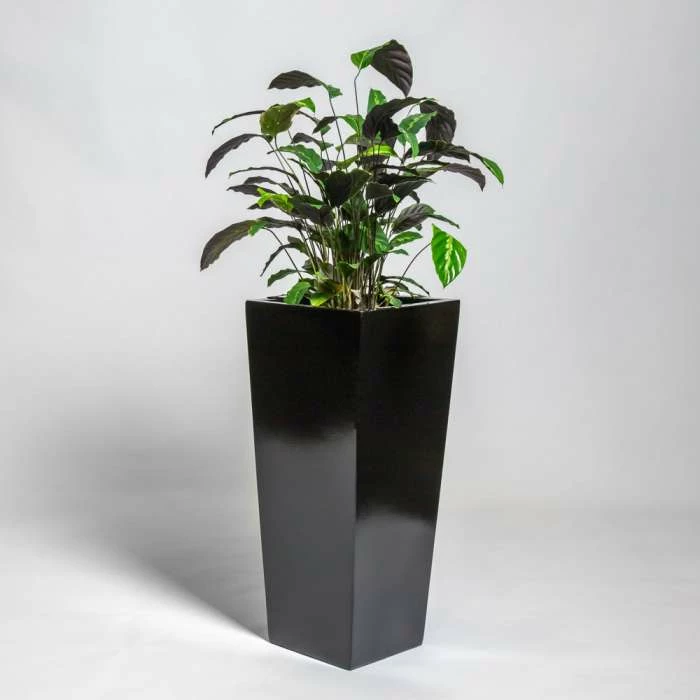 90cm Black Gloss Polystone Tall Flared Planter 3 90cm Black Gloss Polystone Tall Flared Planter