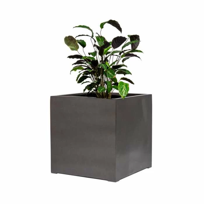 60cm Metallic Grey Polystone Cube Planter 6 60cm Metallic Grey Polystone Cube Planter - Image 4