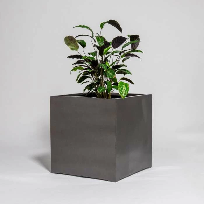 60cm Metallic Grey Polystone Cube Planter 3 60cm Metallic Grey Polystone Cube Planter