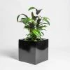 50cm Black Gloss Polystone Cube Planter -Plants outlet store PP40901 main image 97f1