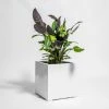 40cm White Gloss Polystone Cube Planter -Plants outlet store PP40905 main image ffd3