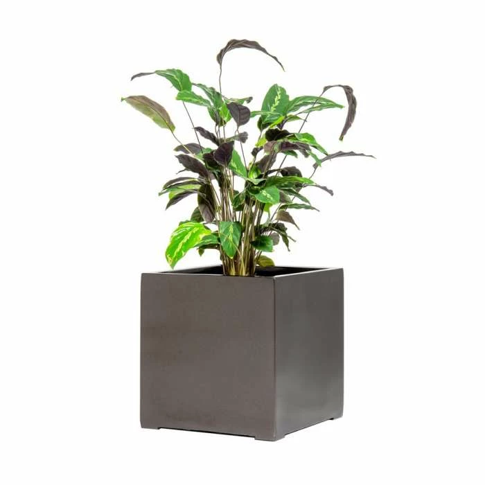 40cm Metallic Grey Polystone Cube Planter 6 40cm Metallic Grey Polystone Cube Planter - Image 4