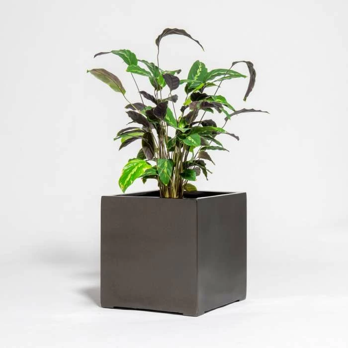 40cm Metallic Grey Polystone Cube Planter 3 40cm Metallic Grey Polystone Cube Planter