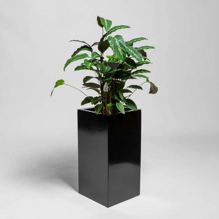 60cm Black Gloss Polystone Tall Cubic Planter 3 60cm Black Gloss Polystone Tall Cubic Planter
