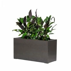 100cm Grey Gloss Polystone Trough Planter