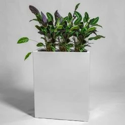 80cm White Gloss Polystone High Trough Planter 8 80cm White Gloss Polystone High Trough Planter -Plants outlet store PP40990 add image 1 d1dc