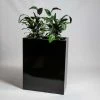 80cm Black Gloss Polystone High Trough Planter 1 80cm Black Gloss Polystone High Trough Planter -Plants outlet store PP40991 main image 3373