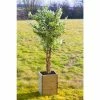 45cm Wooden Tree Tub -Plants outlet store PP4504 main image 8c79