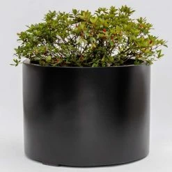 H50cm Large Stone Composite Low Cylinder Planter In Black -Plants outlet store PP5022BL add image 2 75f3