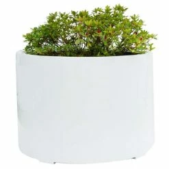 85cm XL Stone Composite Low Cylinder Planter In White -Plants outlet store PP5022WXL add image 2 6591